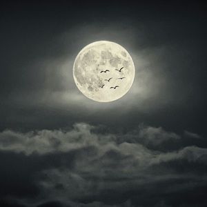 Meet your Posher, Devon